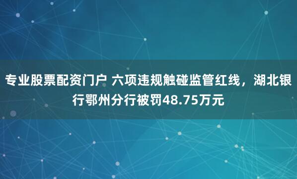 专业股票配资门户 六项违规触碰监管红线，湖北银行鄂州分行被罚48.75万元